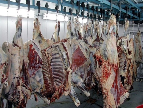 تعطیلی کشتارگاه گچساران/ تامین گوشت قرمز از یاسوج