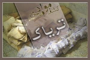 سوداگران مرگ در انتقال ۱۴۶ کیلو گرم مواد مخدر ناکام ماندند