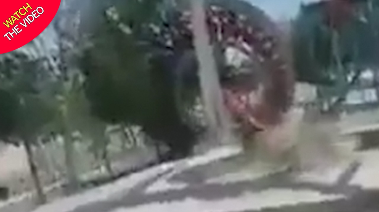 لحظه وحشتناک سقوط فرگرند پارک بازی + فیلم///