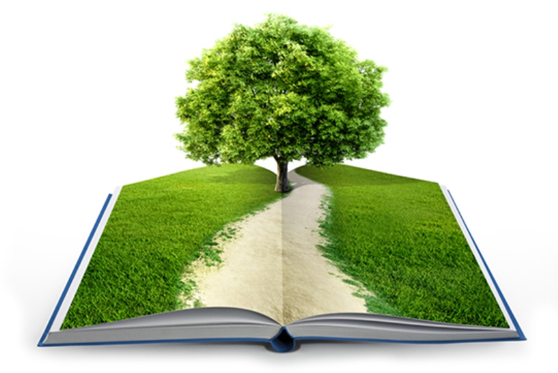انتخاب ۵۴ پروژه برای اختصاص ردیف اعتباری