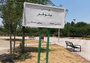 بی‌توجهی به فضای سبز پارک نیلوفر + تصاویر