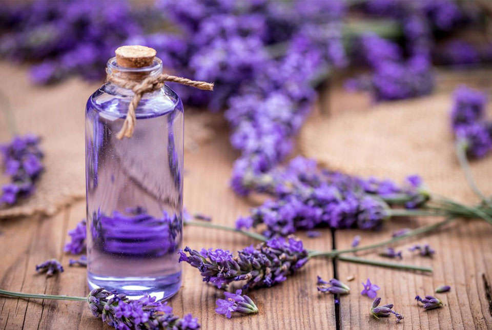 بب