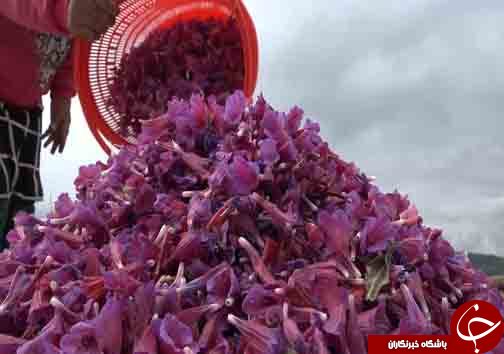 سرباز جوانی که سرباز سازندگی مازندران لقب گرفت