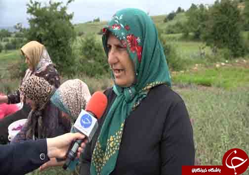 سرباز جوانی که سرباز سازندگی مازندران لقب گرفت