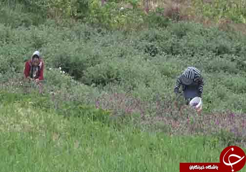 سرباز جوانی که سرباز سازندگی مازندران لقب گرفت