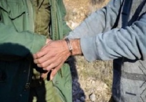 صیادان سهره طلایی در خلخال دستگیر شدند