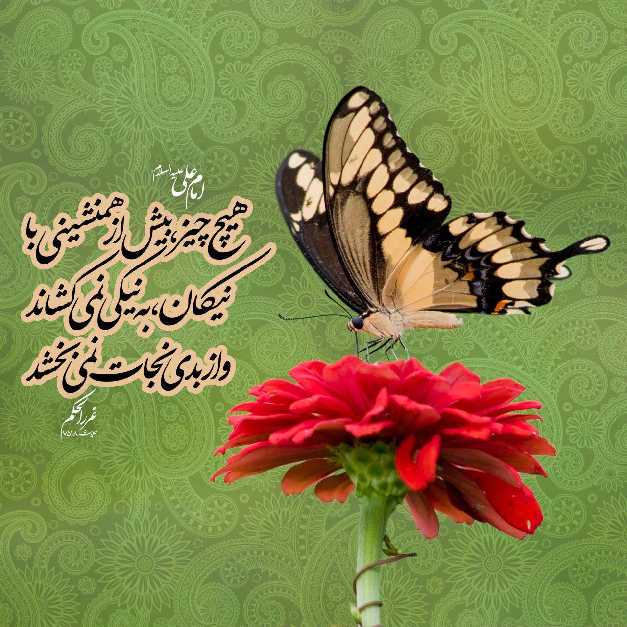 حدیث حدیث