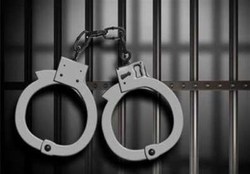عامل برداشت غیر مجاز ۵۸ میلیون ریالی در زنجان دستگیر شد