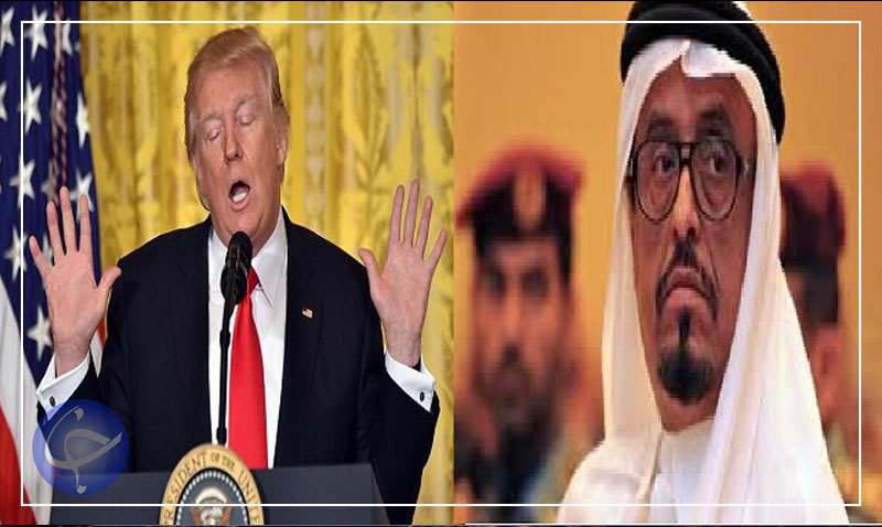 وقتی ترامپ صدای حکام عرب را درمی آورد/ چرا ترامپ به ما می&zwnj;رسد شیر است ولی در برابر ایران خرگوش! +فیلم