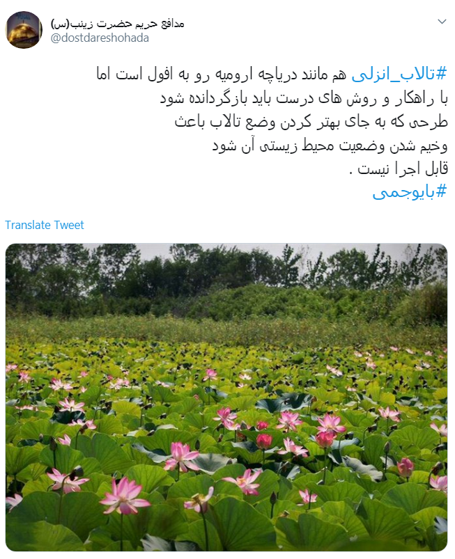 #تالاب_انزلی دیگر جان نداره/ اجرای #بایوجمی ریسک پذیر است