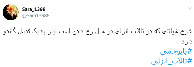 #تالاب_انزلی دیگر جان نداره/ اجرای #بایوجمی ریسک پذیر است