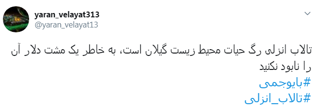 #تالاب_انزلی دیگر جان نداره/ اجرای #بایوجمی ریسک پذیر است