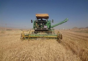بیش از هزار تن از محصولات کشاورزی سیستان و بلوچستان خریداری شد