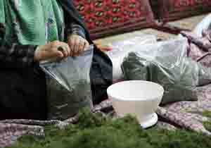 پرداخت ۹ میلیارد تومان تسهیلات ابلاغی مشاغل خانگی خراسان شمالی