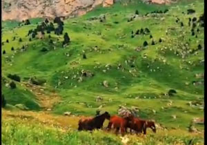 نمایی از طبیعت چشم‌نواز در سمنان + فیلم