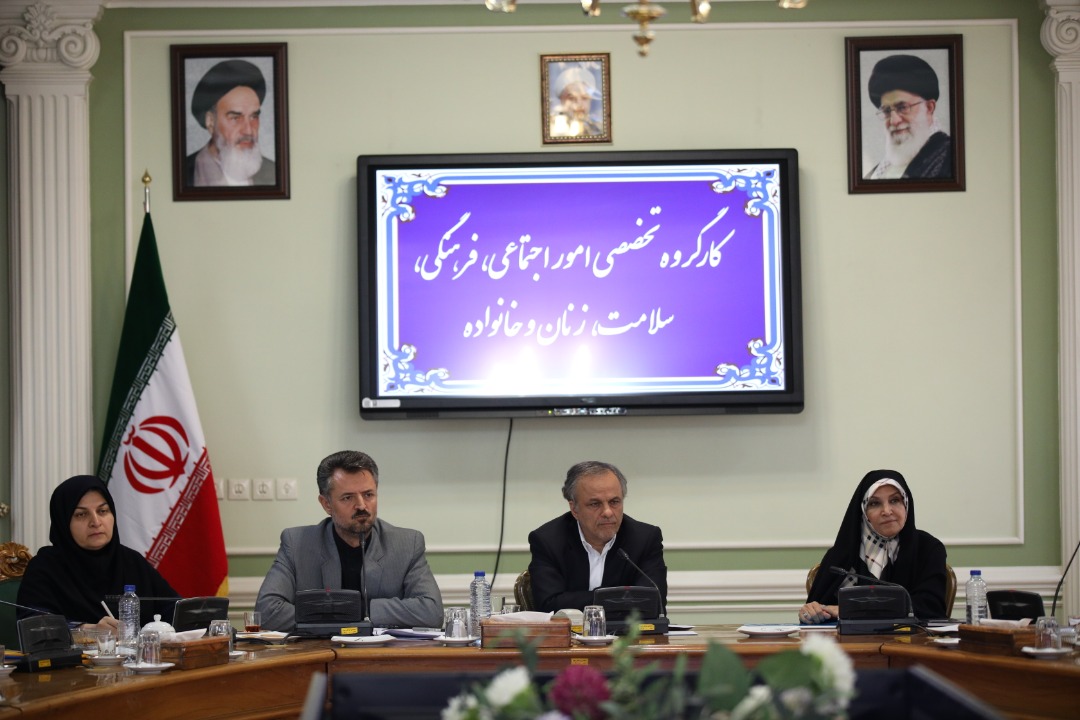 تکالیف دستگاه‌ها در طرح کاهش آسیب‌های اجتماعی تا دو هفته آینده مشخص شود
