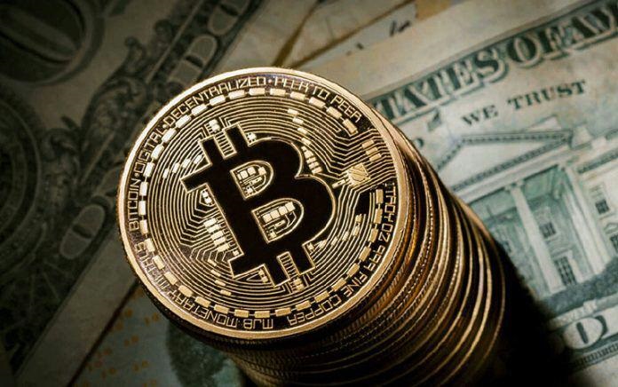 پرونده بیت کوین روی میز شبکه مستند