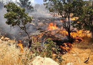 آتش از منطقه شیمبار اندیکا دست کشید