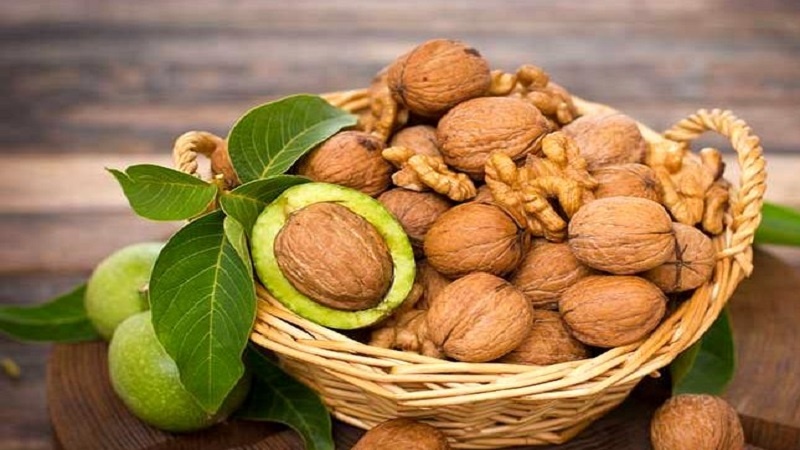 باید&zwnj;ها و نبایدهای حفظ سلامت قلب +لیست مواد غذایی مضر