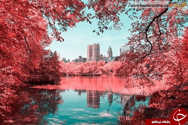 عکاسی مادون قرمز؛ شاخه&zwnj;ای جذاب از عکاسی +مروری بر گذشته آن