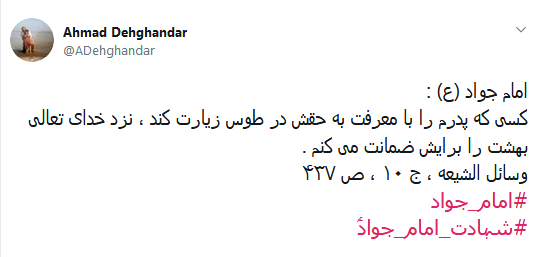 #جواد_الائمه/ بعد از حسین هیچ امامی به وقت مرگ، مثل تو ای ولی خدا  تشنه جان نداد