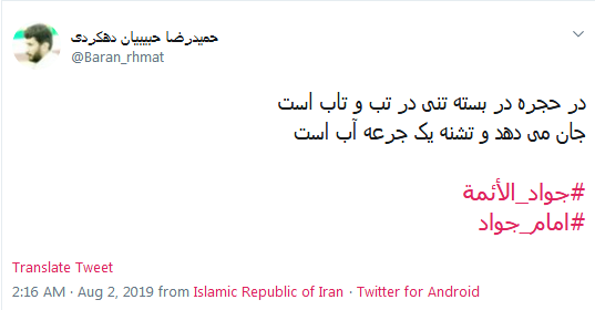 #جواد_الائمه/ بعد از حسین هیچ امامی به وقت مرگ، مثل تو ای ولی خدا  تشنه جان نداد