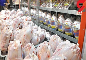 قیمت مرغ ۱۲ هزار و ۹۰۰ تومان تعیین شد/برخورد قاطع با گرانفروشان و متخلفان صورت می&zwnj;گیرد
