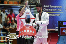 لیگ برتر تکواندو