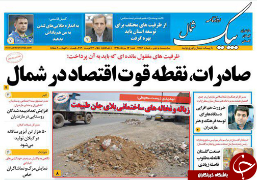 ثریا و دیوار کجی که معمار حرفه&zwnj;ای می&zwnj;خواهد/ مرگ دسته جمعی احزاب