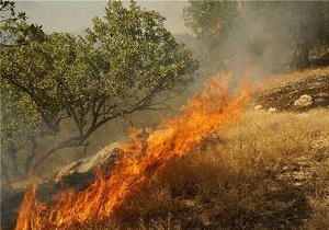 ۵۰ هکتار از ارتفاعات وِزکور بخش کوهنانی در آتش می سوزد