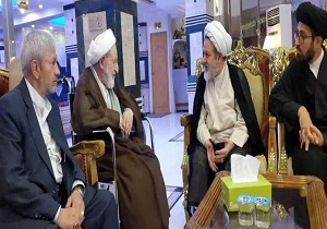 حوزه علمیه نجف در کنار حوزه علمیه قم منشاء خدمت به معارف اهل بیت (ع)شود