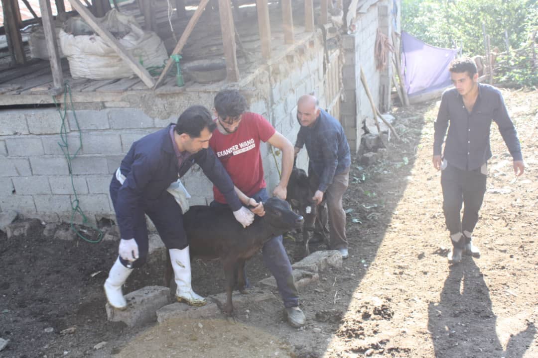 خدمات رسانی جهادگران بسیجی در اطاقور لنگرود