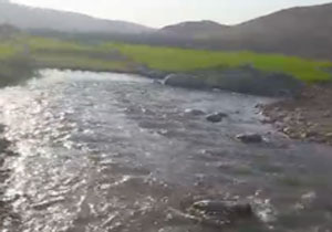 نمایی از طبیعت بکر در روستای منجوک + فیلم