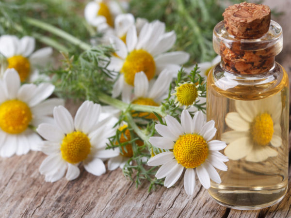 گرفتگی عضله و خستگی را با چند فرمول طبیعی درمان کنید +روغن&zwnj;های ضد اسپاسم عضله