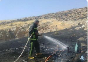 ۱۰ هکتار از پوشش گیاهی روستای سهولان مهاباد طعمه حریق شد