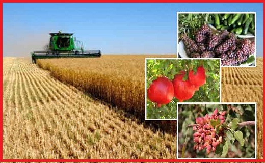 مهار آتش&zwnj;سوزی جنگل&zwnj;های سردشت /برگزاری همایش فرصت&zwnj;های سرمایه&zwnj;گذاری /احیای کارت&zwnj;های هوشمند سوخت