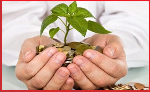 مهار آتش&zwnj;سوزی جنگل&zwnj;های سردشت /برگزاری همایش فرصت&zwnj;های سرمایه&zwnj;گذاری /احیای کارت&zwnj;های هوشمند سوخت
