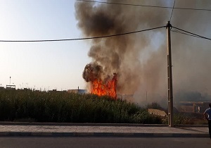 حریق نخلستان و نیزار در ایستگاه ۱۲