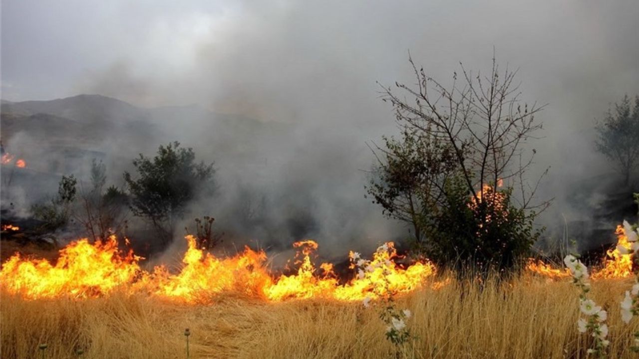 ۱۲۳ هکتار از عرصههای جنگلی استان در آتش سوخت ۱۲۳ هکتار از عرصههای جنگلی استان در آتش سوخت