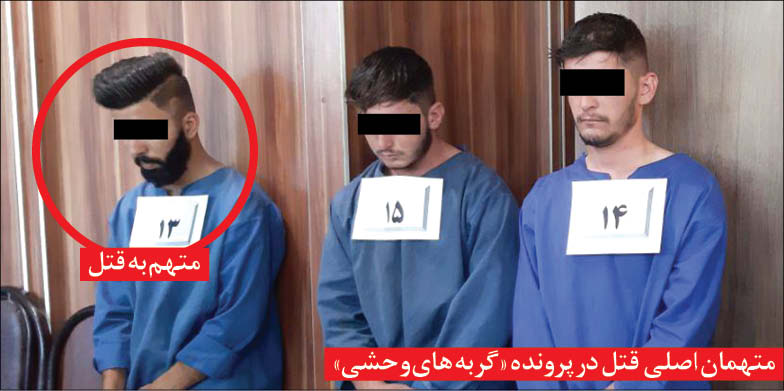 اعترافات تکان دهنده &laquo;گربه&zwnj;های وحشــی&raquo;