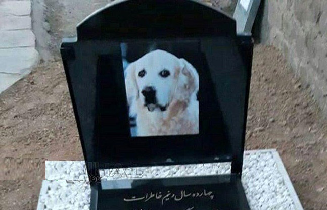 مراسم لاکچری برای خاکسپاری یک سگ در مسجد سنگر رشت ! + عکس