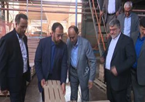جریمه ۲۳ میلیونی قاچاقچی کالا در طبس