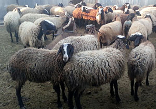 نگاهی گذرا به مهمترین رویداد&zwnj;های شنبه ۱۲ مرداد ماه در مازندران
