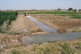 انتقال آب دریای عمان به مشهد درسال ۱۴۰۴/ پیامد&zwnj;های زیست محیطی طرح -گزارش مکتوب (منتشر نشود)