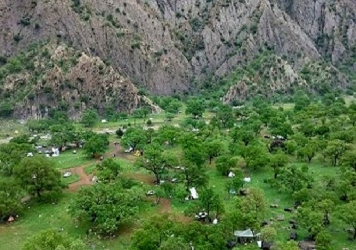 سفره غنی جنگل‌ها و مراتع کهگیلویه و بویراحمد