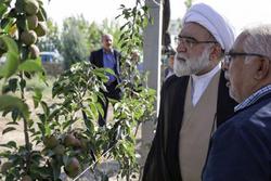 درآمدزایی مجموعه&zwnj;های اقتصادی آستان قدس باید در چارچوب قانون و شرع باشد