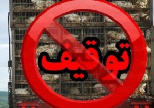 ایست پلیس به کامیون حامل مرغ قاچاق در سرخه