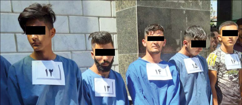 &laquo;گربه&zwnj;های وحشی&raquo; را شناسایی کنید + تصاویر