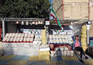 برگزاری جشنواره سیر در همدان