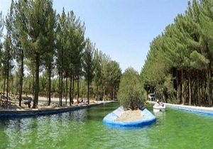 پارک جنگلی بیرجند سال ۹۹ زیبا می‌شود